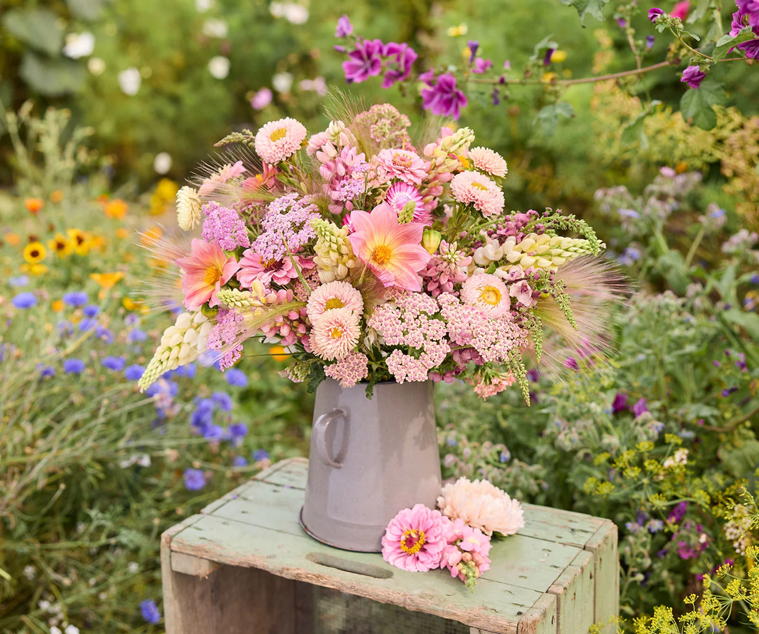 Welcome to Our Store